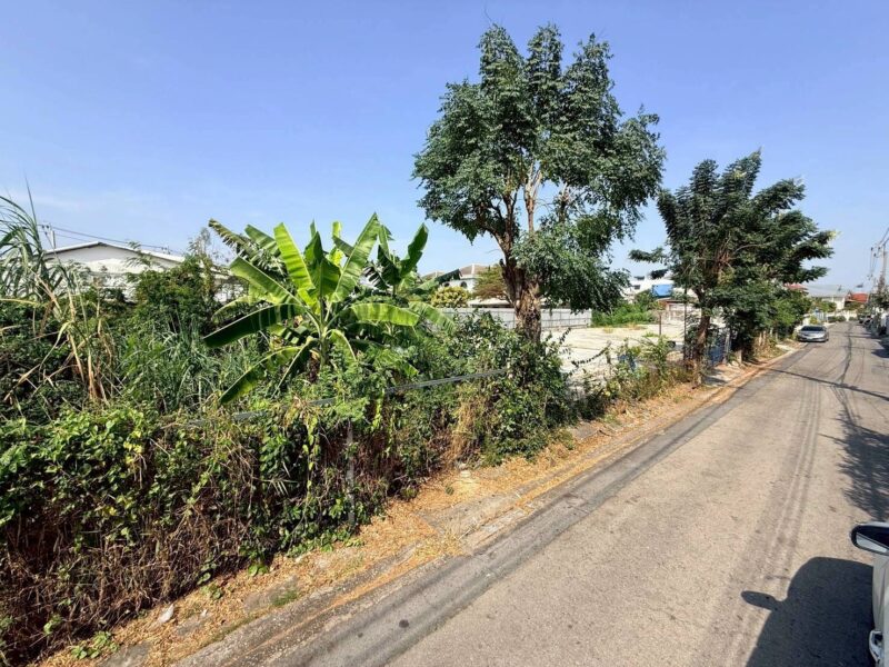 ขายที่ดินถนนทุ่งมังกร 90 ตรว ติดถนนคอนกรีต ซ.ทุ่งมังกร 18 เขตตลิ่งชัน กรุงเทพฯ