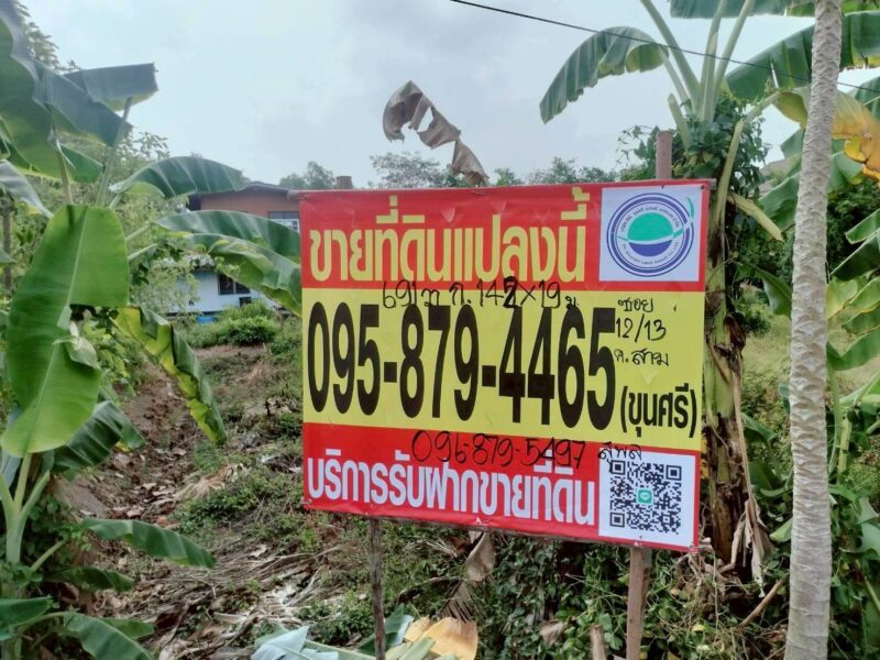 ขายด่วนที่ดิน 691 ตรว ติดถนนคอนกรีตสาธารณะ ซ.คลองสาม12/13 คลองหลวง ปทุมธานี