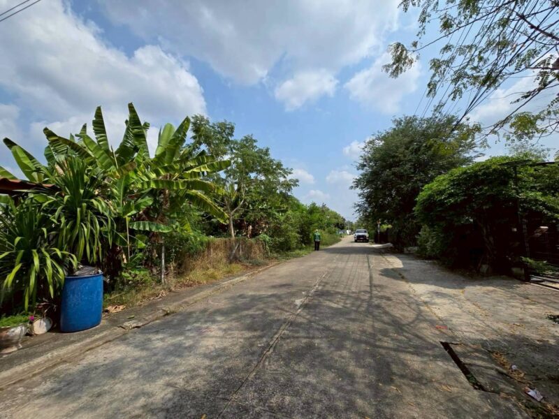 ขายด่วนที่ดิน 225 ตรว ติดถนนคอนกรีตสาธารณะ หมู่บ้านบางใหญ่การ์เด้น บางใหญ่ นนทบุรี