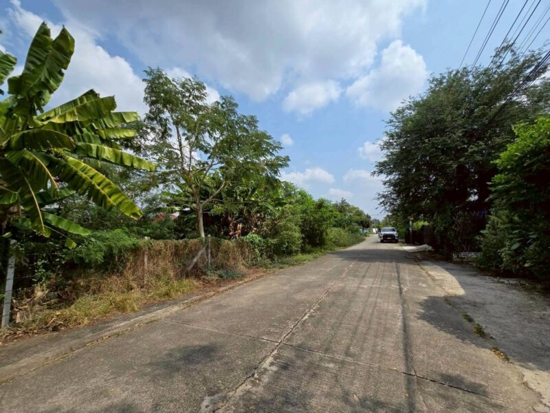 ขายด่วนที่ดิน 225 ตรว ติดถนนคอนกรีตสาธารณะ หมู่บ้านบางใหญ่การ์เด้น บางใหญ่ นนทบุรี