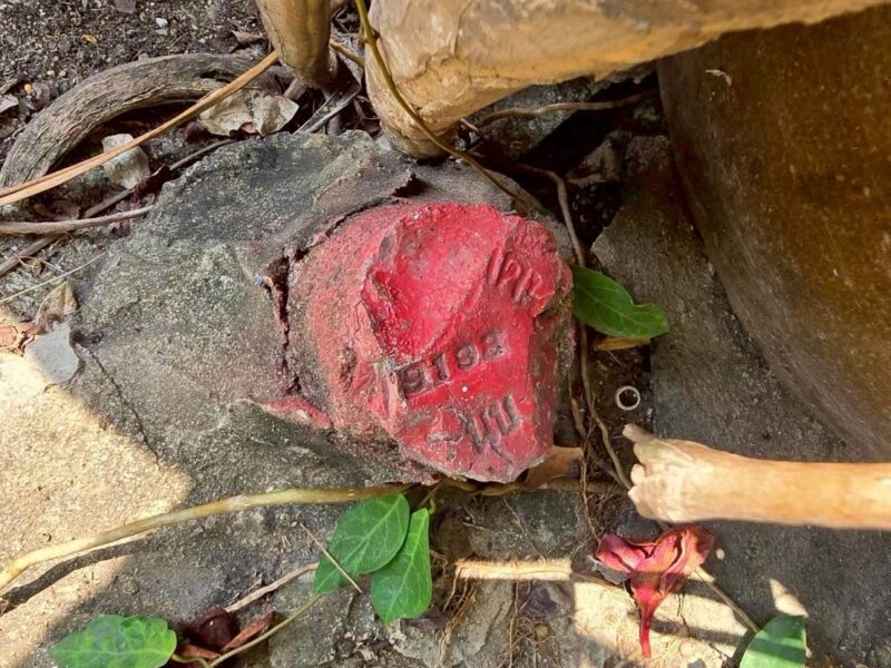 ขายด่วนที่ดิน 225 ตรว ติดถนนคอนกรีตสาธารณะ หมู่บ้านบางใหญ่การ์เด้น บางใหญ่ นนทบุรี