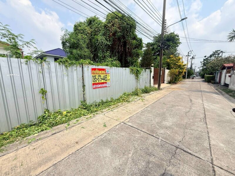 ขายด่วนที่ดิน 98 ตรว ติดถนนคอนกรีตสาธารณะ ถมแล้ว นาคนิวาส 21 แยก 2-1 ต.ลาดพร้าว กรุงเทพมหานคร