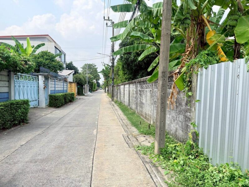 ขายด่วนที่ดิน 98 ตรว ติดถนนคอนกรีตสาธารณะ ถมแล้ว นาคนิวาส 21 แยก 2-1 ต.ลาดพร้าว กรุงเทพมหานคร