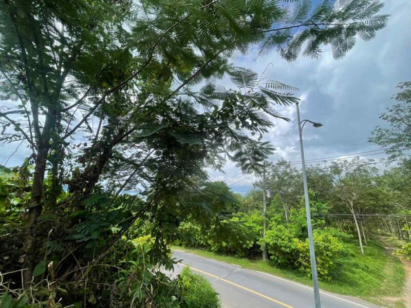 ขายที่ดิน วิวสวย เขาขาด จ.ภูเก็ต