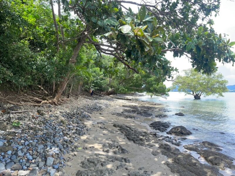 ขายที่ดินหน้ากว้างติดหาก 370 เมตร เกาะโหลน จังหวัดภูเก็ต