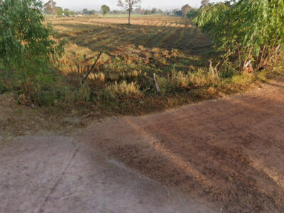 ขายด่วน! ขายที่นา ราคา 400,000 บาท/ไร่ จำนวน 5 ไร่ - งาน