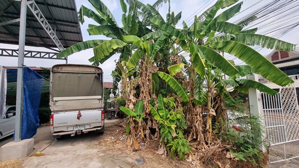 ขายที่ดินราคาถูก พร้อมบ้าน 2 ชั้น 101 ตร.ว. เมืองร้อยเอ็ด ทำเลดีเข้าออกสะดวก ใกล้แหล่งชุมชน และสถานที่สำคัญ โทร 063-2825635