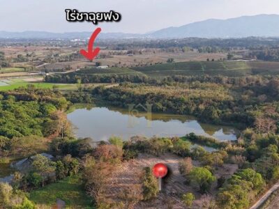 ขายที่ดิน 12 ไร่กว่า ทำเลศักยภาพ ใกล้แหล่งท่องเที่ยว จ.เชียงราย อ.แม่จัน ต.ศรีค้ำ เดินทางสะดวก โทร 081-0321111