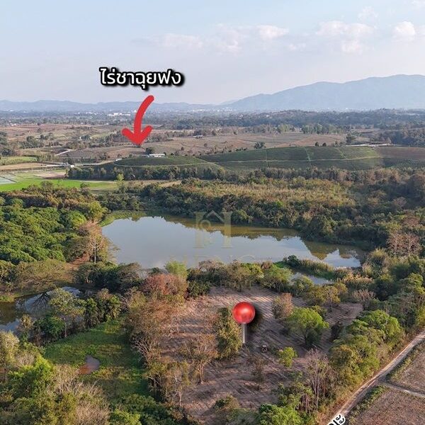 ขายที่ดิน 12 ไร่กว่า ทำเลศักยภาพ ใกล้แหล่งท่องเที่ยว จ.เชียงราย อ.แม่จัน ต.ศรีค้ำ เดินทางสะดวก โทร 081-0321111