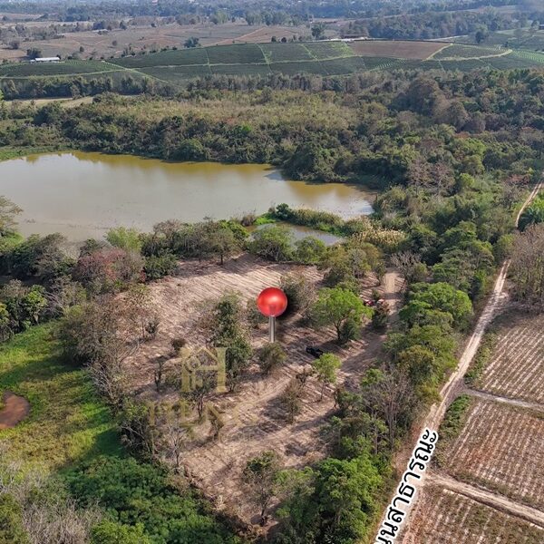 ขายที่ดิน 12 ไร่กว่า ทำเลศักยภาพ ใกล้แหล่งท่องเที่ยว จ.เชียงราย อ.แม่จัน ต.ศรีค้ำ เดินทางสะดวก โทร 081-0321111