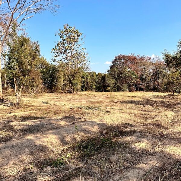 ขายที่ดิน 12 ไร่กว่า ทำเลศักยภาพ ใกล้แหล่งท่องเที่ยว จ.เชียงราย อ.แม่จัน ต.ศรีค้ำ เดินทางสะดวก โทร 081-0321111