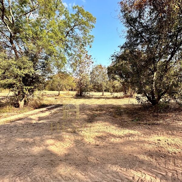 ขายที่ดิน 12 ไร่กว่า ทำเลศักยภาพ ใกล้แหล่งท่องเที่ยว จ.เชียงราย อ.แม่จัน ต.ศรีค้ำ เดินทางสะดวก โทร 081-0321111