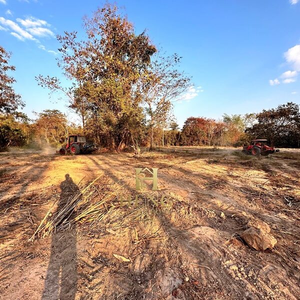 ขายที่ดิน 12 ไร่กว่า ทำเลศักยภาพ ใกล้แหล่งท่องเที่ยว จ.เชียงราย อ.แม่จัน ต.ศรีค้ำ เดินทางสะดวก โทร 081-0321111