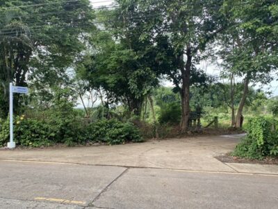 ขาย!!! ที่ดินสวย ทำเลศักยภาพ ใจกลางเมือง..หลังค่ายตากสิน..เนื้อที่ 14 ไร่เศษ โทร 092-5635533