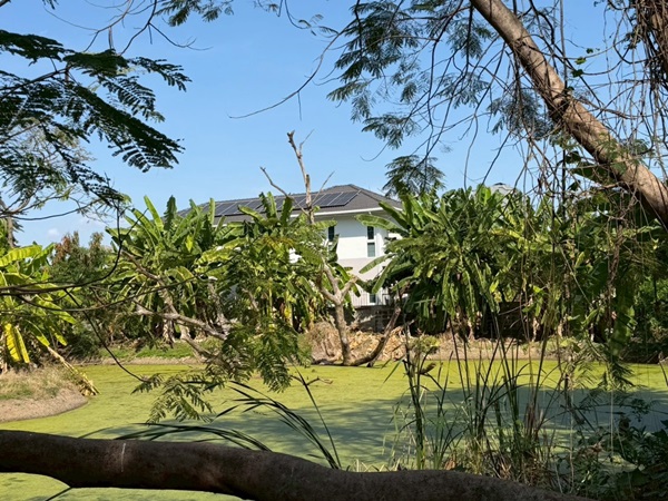 ขายที่ดินพหลโยธิน 35 แยก 19 ซอยสังข์ทอง 9 (พื้นที่สีส้ม) เนื้อที่ 6‑0‑69 ไร่ ใกล้เมเจอร์รัชโยธิน โทร 090-6360022