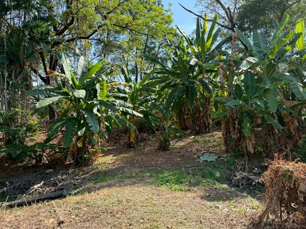 ขายที่ดินพหลโยธิน 35 แยก 19 ซอยสังข์ทอง 9 (พื้นที่สีส้ม) เนื้อที่ 6‑0‑69 ไร่ ใกล้เมเจอร์รัชโยธิน โทร 090-6360022