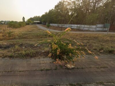 ขายที่ดิน