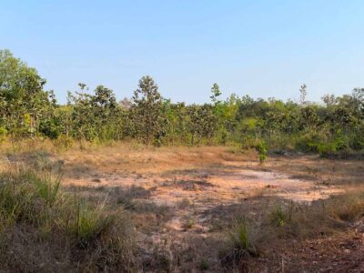 ขายที่ดินอุบลฯ อ.พิบูลมังสาหาร โคตรถูก เพียง 800,000 บาท 5 ไร่