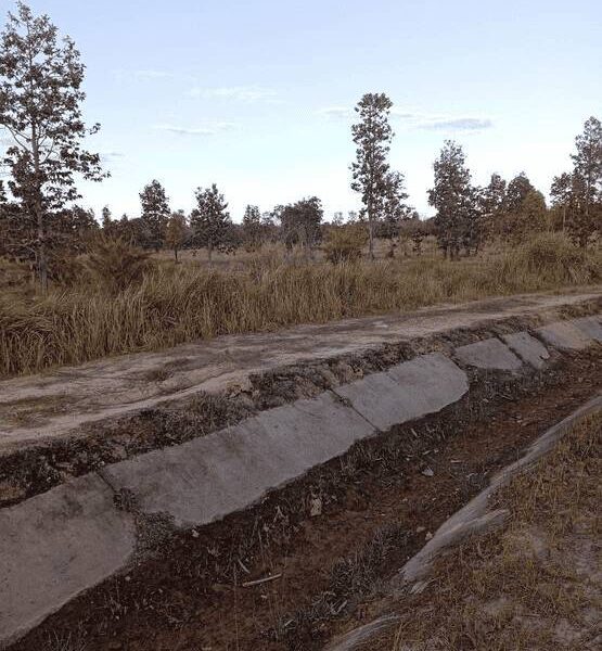 ขายที่นา 31 ไร่ โขงเจียม อุบล ใกล้ตลาดอำเภอ ติดคลองส่งน้ำชลประทาน