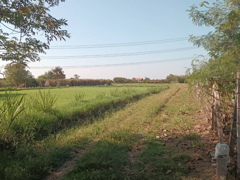 ขายที่ดินเปล่า 110 ตร.วา