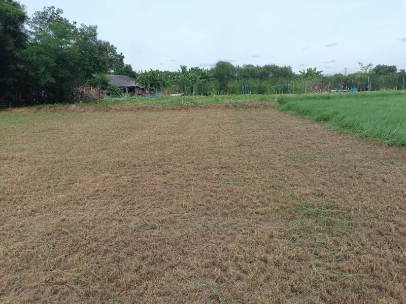 ขายที่ดินเปล่า 110 ตร.วา