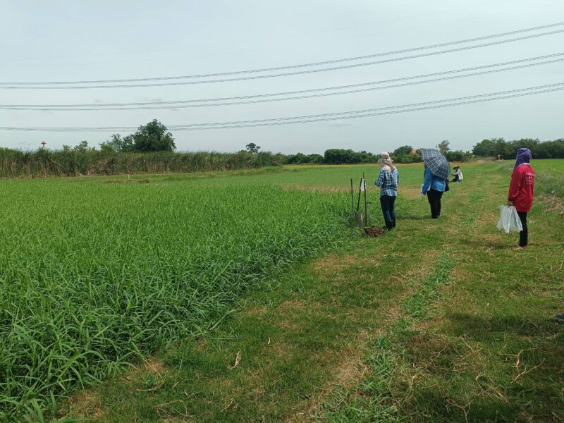 ขายที่ดินเปล่า 110 ตร.วา