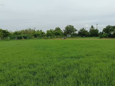 ขายที่ดินเปล่า 110 ตร.วา