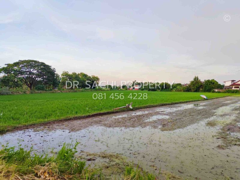 #ขายที่ดินสวยเชียงราย ทำเลดี ใกล้ ถ.บายพาสตะวันออก เพียง 1 กม. สนามบินเชียงราย (13-2-50.3 ไร่)