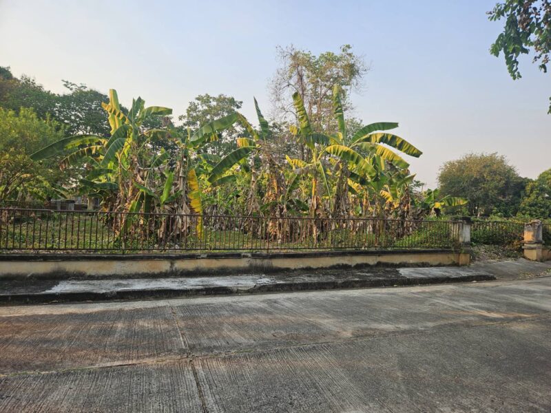 ขายด่วน ที่ดินโครงการ Lake View Park 2
