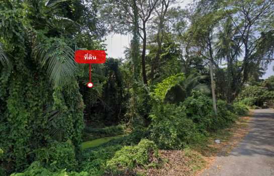 ขายที่ดิน 1-2-65 ไร่ ใกล้ รร.นายร้อยตำรวจสามพราน และวัดสามพราน (พุทโธภาวนา)