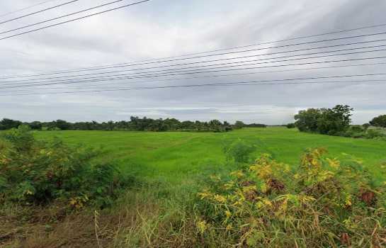 ขายที่ดิน 9-2-80 ไร่ ใกล้ตลาดบางบ่อและหอดูดาวเฉลิมพระเกียรติ ฉะเชิงเทรา