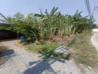 ขายที่ดินขนาด 111 ตร.ว. ติดถนนซอยเลียบคลองโยง ทำเลศาลายา อ.พุทธมณฑล จ.นครปฐม