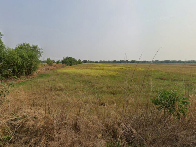 ขายที่ดินบางน้ำเปรี้ยว แปลงติดถนน 2-1-18 ไร่ และด้านใน 341 ตร.ว. ใกล้วัดบางไทร