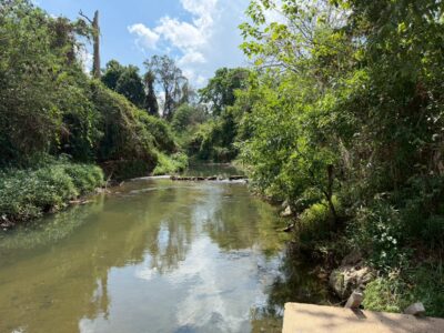 ขายที่ดินติดริมน้ำใจกลางปากช่อง (1-1-4 ไร่.) วาล่ะ 22,000 บาท | ( ราคาตลาด : ก่อนปรับขึ้นฯ ) ( เพียง 11 ลบ.) โฉนดครุฑแดง พร้อมโอนฯ . " ใจกลางเมืองปากช่อง ถนน เทศบาล 22ซอย1 (ซอย ชุนชนสุเหร่า) ”