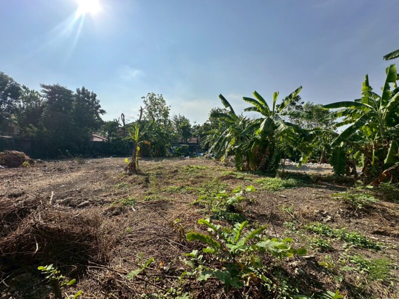 ขายที่ดิน แบริ่ง ที่ดินเปล่า 353 ตร.ว. แปลงสวย