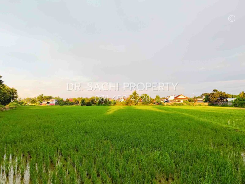 #ขายที่ดินสวยเชียงราย ทำเลดี ใกล้ ถ.บายพาสตะวันออก เพียง 1 กม. สนามบินเชียงราย (13-2-50.3 ไร่)