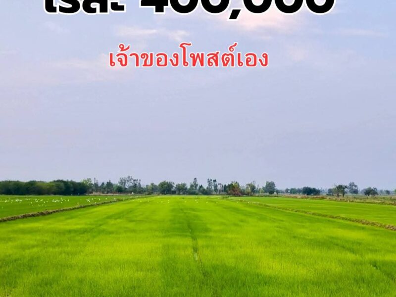 เจ้าของขายเอง 5ไร่ 3งาน