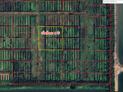 ขายที่ดินเปล่าเนื้อที่รวม 4 ไร่ ใกล้โรงเรียนอยู่ประชานุเคราะห์ หนองเสือ ปทุมธานี ราคาถูกมาก