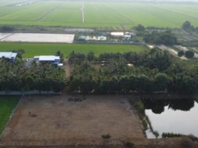 ขายที่ดินนครปฐม บางเลน 2 ไร่ 0 งาน 71.6 ตารางวา ใกล้โรงเรียนวัดบึงลาดสวาย