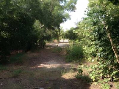 ขายที่ดินคลองห้า 1 ไร่ 1 งาน 87 ตร.ว. ใกล้ปั๊ม PTT คลองห้า และโรงพยาบาลคลองหลวง