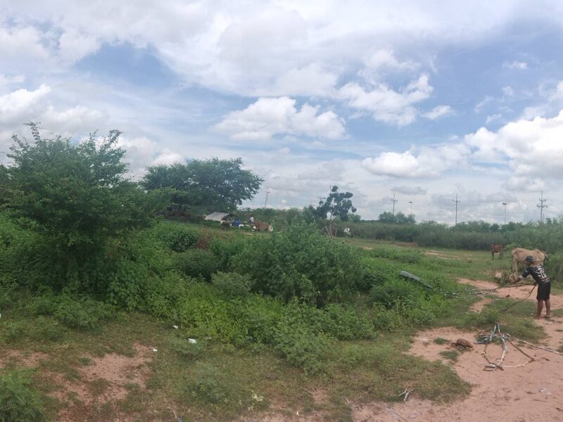 ที่ดินจังหวัดมหาสารคาม ราคาดีอยู่ใกล้เทศบาลบรบือ