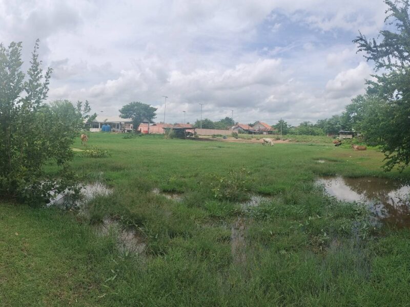 ที่ดินจังหวัดมหาสารคาม ราคาดีอยู่ใกล้เทศบาลบรบือ