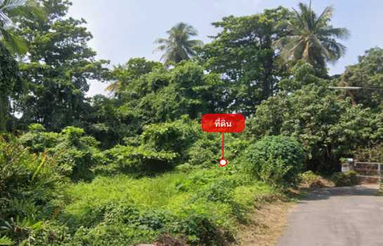 ขายที่ดิน 1-2-65 ไร่ ใกล้ รร.นายร้อยตำรวจสามพราน และวัดสามพราน (พุทโธภาวนา)