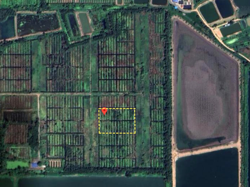 ขายที่ดินเปล่าเนื้อที่รวม 4 ไร่ ใกล้โรงเรียนอยู่ประชานุเคราะห์ หนองเสือ ปทุมธานี ราคาถูกมาก