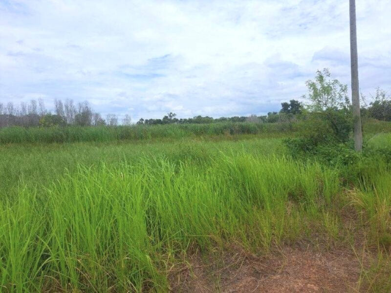 ขายที่ดินเปล่าเนื้อที่รวม 4 ไร่ ใกล้โรงเรียนอยู่ประชานุเคราะห์ หนองเสือ ปทุมธานี ราคาถูกมาก