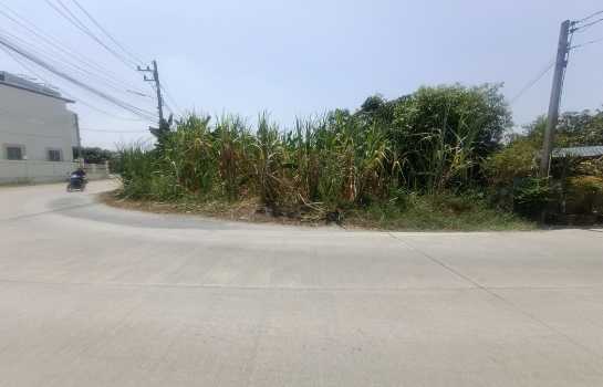 ขายที่ดินขนาด 111 ตร.ว. ติดถนนซอยเลียบคลองโยง ทำเลศาลายา อ.พุทธมณฑล จ.นครปฐม