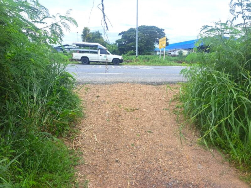 ขายที่ดินเปล่าเนื้อที่รวม 4 ไร่ ใกล้โรงเรียนอยู่ประชานุเคราะห์ หนองเสือ ปทุมธานี ราคาถูกมาก