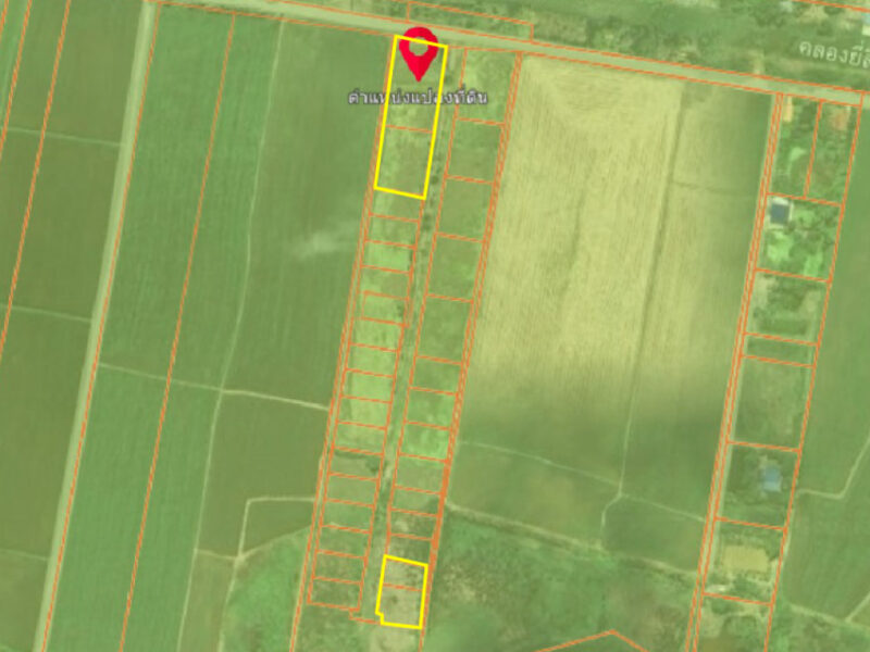 ขายที่ดินบางน้ำเปรี้ยว แปลงติดถนน 2-1-18 ไร่ และด้านใน 341 ตร.ว. ใกล้วัดบางไทร