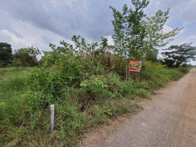 ขายถูกที่สุดที่ดินทำเลดี 100 ตรว ติดถนนสาธารณะ ซ.คลองห้าตะวันออก 3 อ.คลองหลวง จ.ปทุมธานี