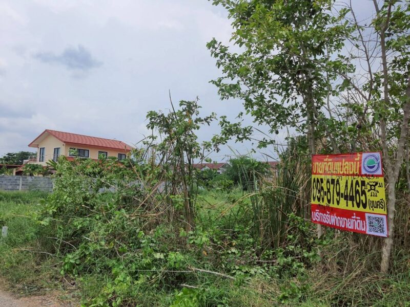 ขายถูกที่สุดที่ดินทำเลดี 100 ตรว ติดถนนสาธารณะ ซ.คลองห้าตะวันออก 3 อ.คลองหลวง จ.ปทุมธานี